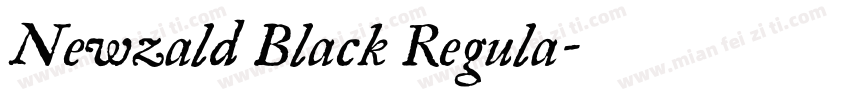 Newzald Black Regula字体转换